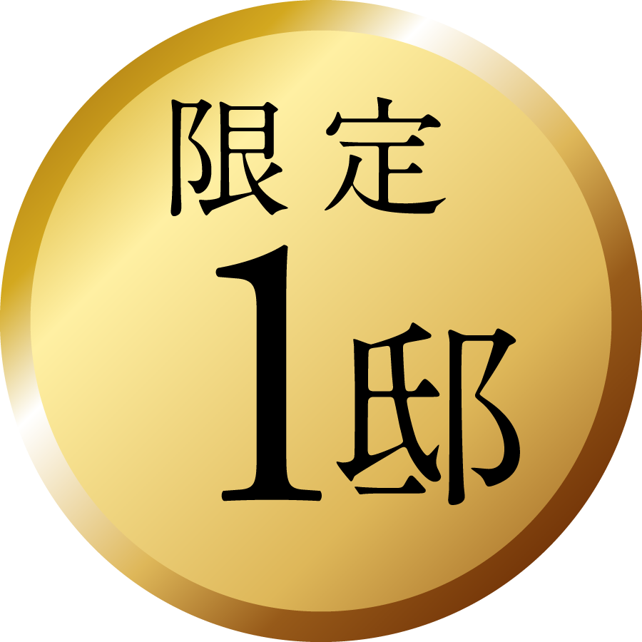 限定1邸