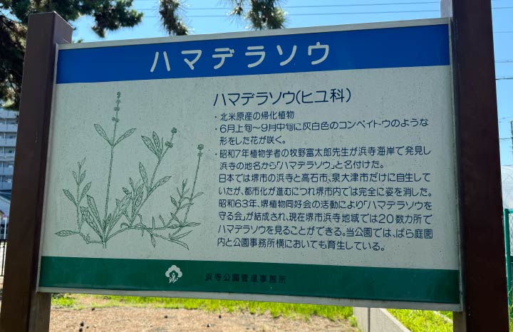 浜寺公園