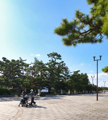 公園内を散歩する家族
