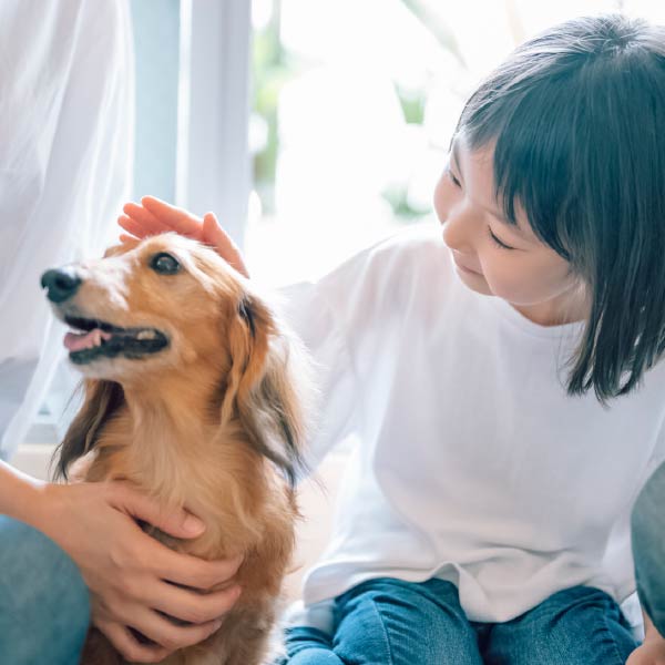 犬と遊ぶ親子