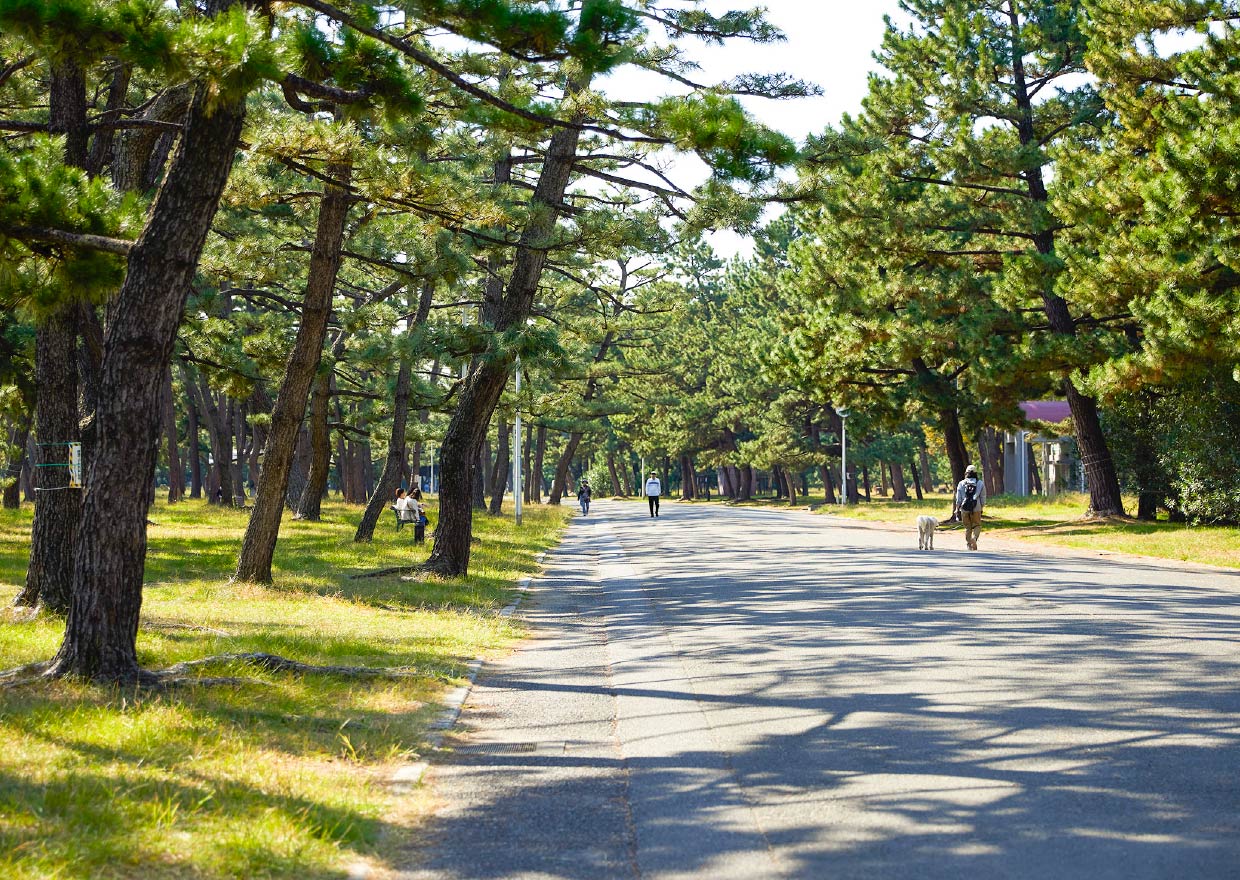 浜寺公園（2024年10月撮影）