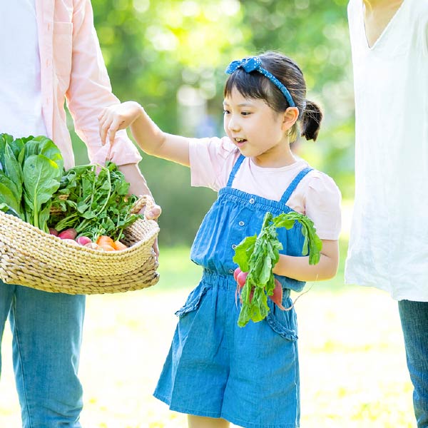 野菜を収穫する家族