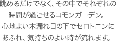 眺めるだけでなく、その中でそれぞれの時間が過ごせるコモンガーデン。心地よい木漏れ日の下でセロトニンにあふれ、気持ちのよい時が流れます。