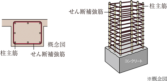 ※概念図：柱主筋、せん断補強筋