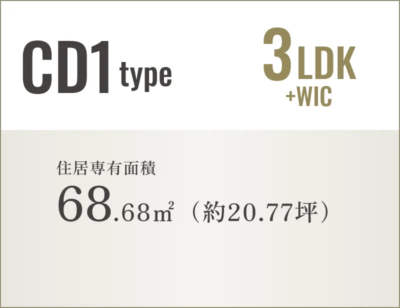 CD1type