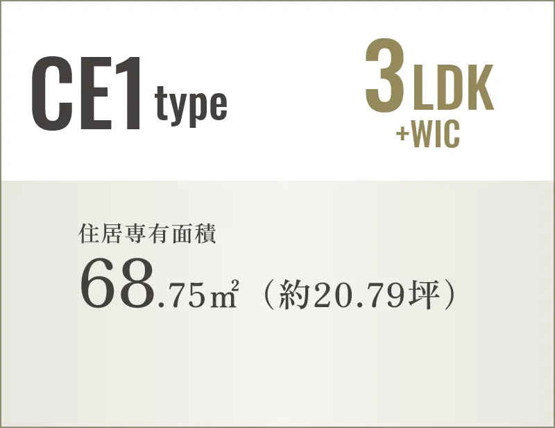 CE1type