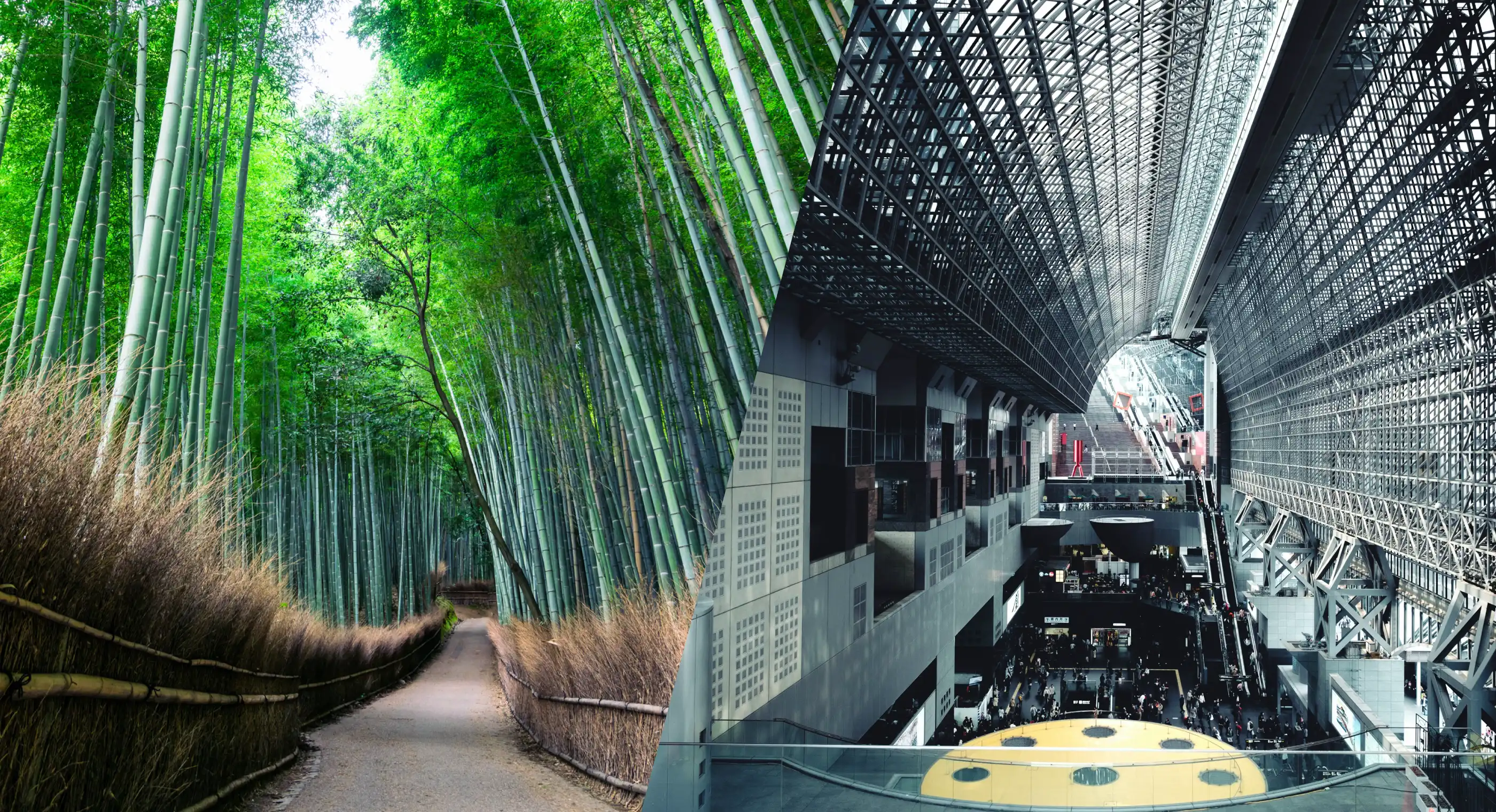 竹の怪/JR「京都駅」