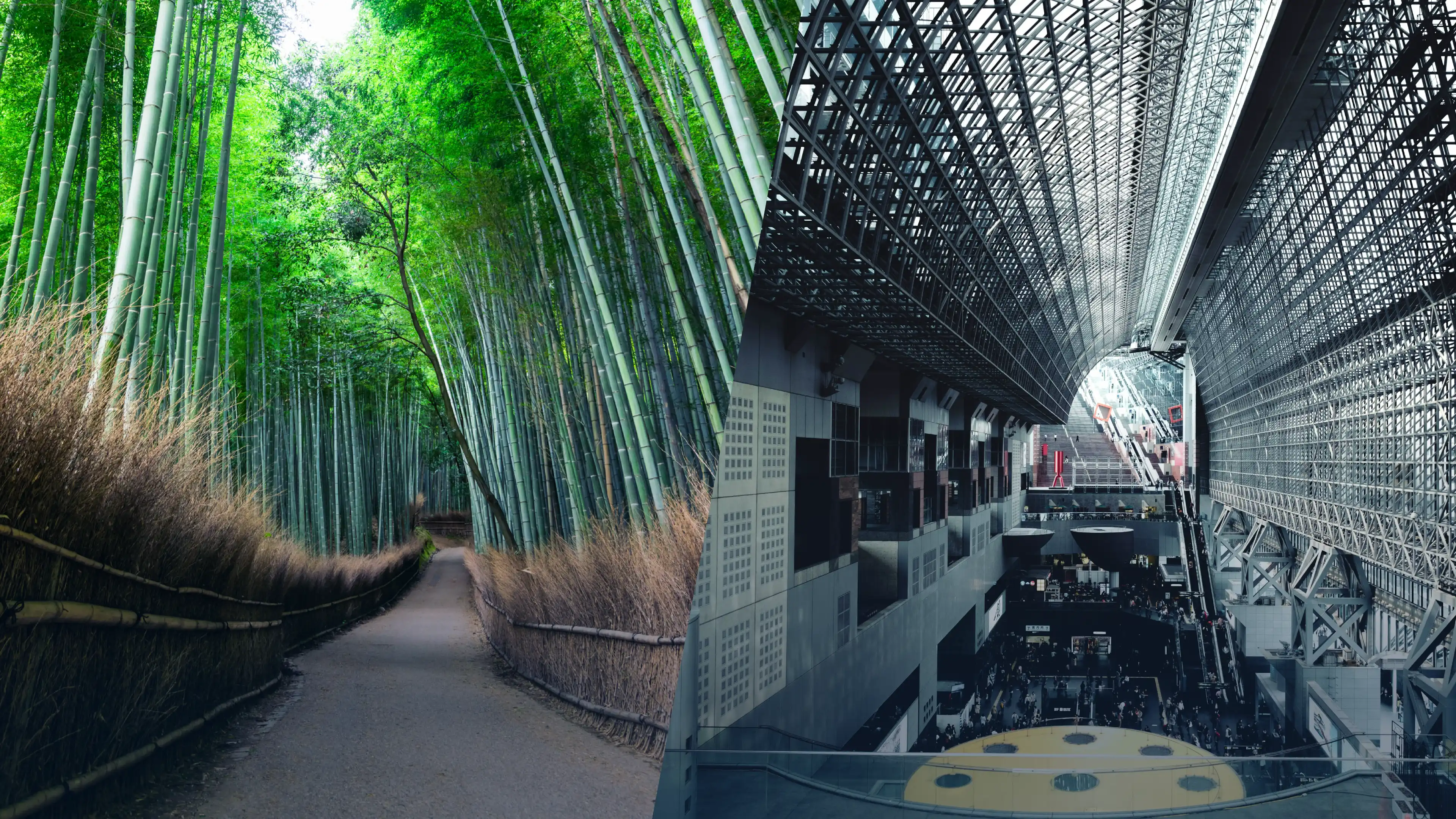 竹の怪/JR「京都駅」