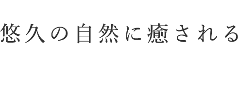 悠久の自然に癒される