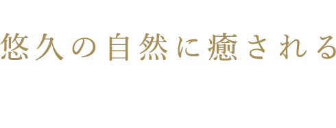 悠久の自然に癒される