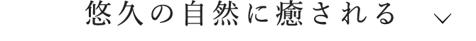 悠久の自然に癒される