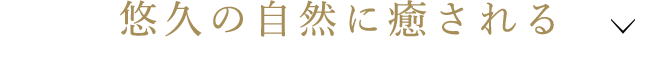 悠久の自然に癒される