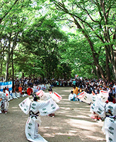御蔭祭