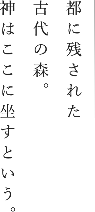 都に残された古代の森。神はここに坐すという。