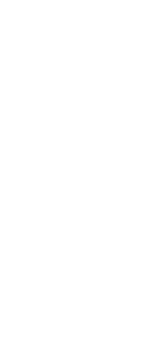 都に残された古代の森。神はここに坐すという。