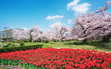 京都府立植物園