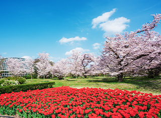 京都府立植物園