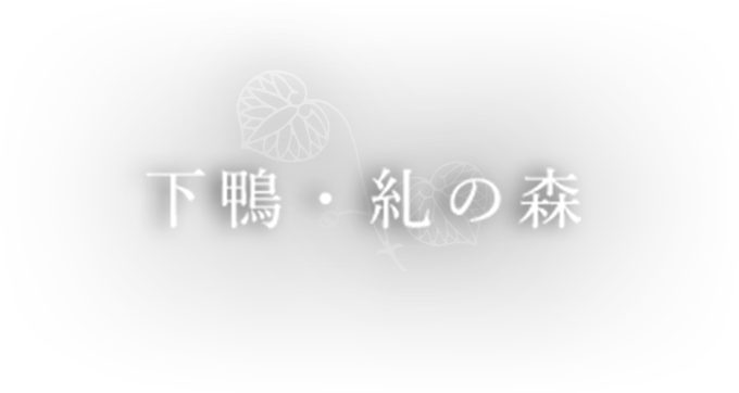 下鴨・糺の森