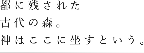 都に残された古代の森。神はここに坐すという。